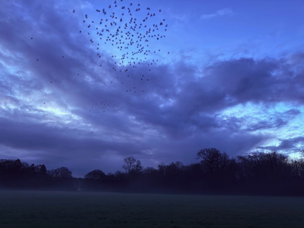 When sleep advice doesn’t fit real life