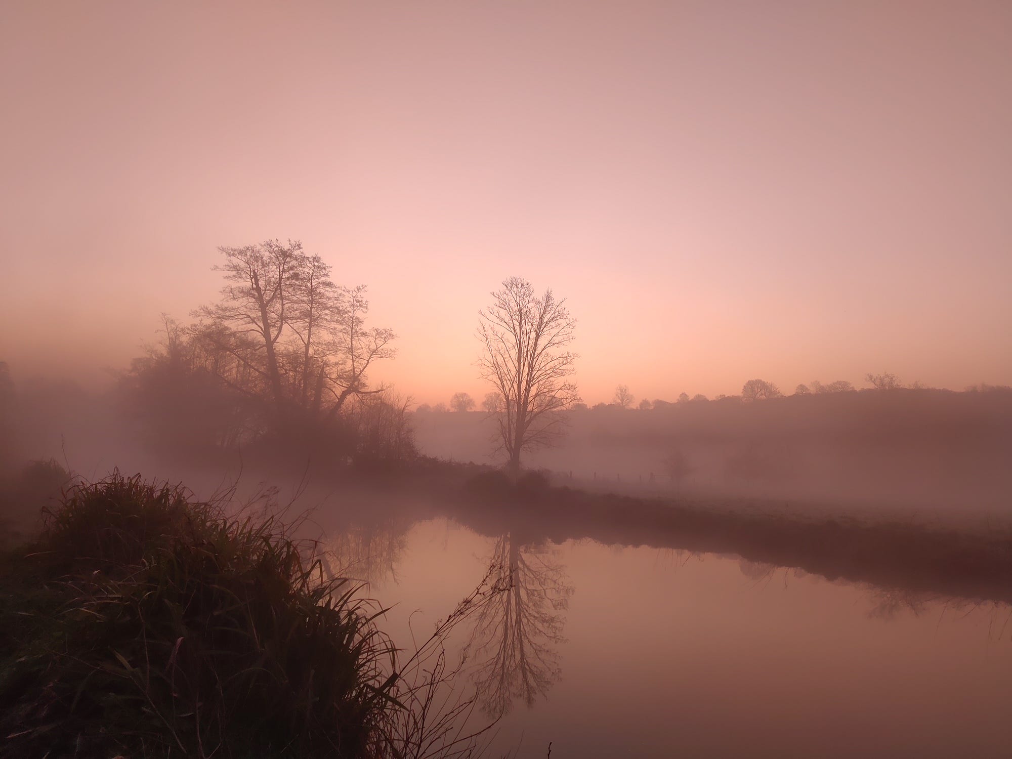 Why so much health advice feels unhelpful